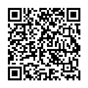 就是那些天尊大修士也都不知道有多久没有被这样摔过了二维码生成