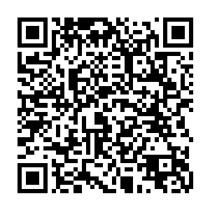 就是那些有着较多的松脂分泌量的松树内部常年被松脂浸透的那一部分树干二维码生成