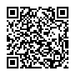 就是那些留在此地的上元盟人尊期大修士也出手了二维码生成