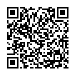 就是那些经常去白爱月家吃饭的下乡干部们都不敢二维码生成