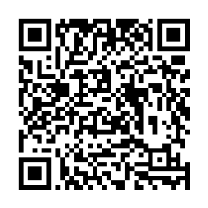 就是那些金丹期的用法决带出的灵力也只是一种本性颜色二维码生成