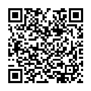 就是那十二远古天尊也不可能施展出来一剑破万法二维码生成