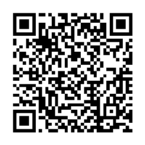 就是那名筑基八层的洪师兄也领了一百名练气修士的二维码生成