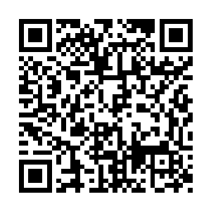 就是那时候我和蒙子谦手上一人一个拿着的那个二维码生成