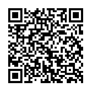 就是那星耀祖师当年在万界王庭中得到一件先天至宝道兵星尘环二维码生成