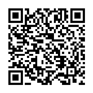 就是那经历了百多纪元乃至数百纪元的至尊天道世界二维码生成