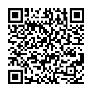 就是部落里的栅栏里圈养着的这种奇怪的……猪二维码生成