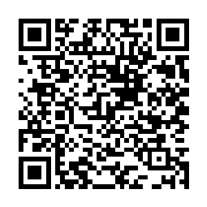 就是金甲宗三名铸剑大师呕心沥血数载而成的绝品二维码生成