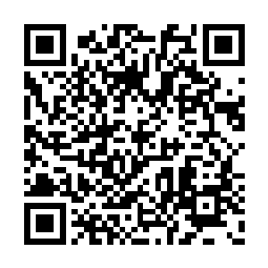 就是钻石骨骼光芒穿透肌肉与皮肤所表现出来的二维码生成