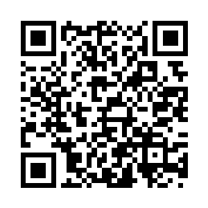 就是闭关结束的放风期都得被你看着二维码生成