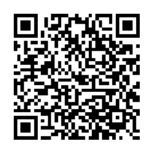 就是阮文忠联合萝城的一些豪门士绅一起宴请黎耀南二维码生成