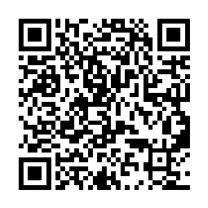 就是陆军航空兵有什么飞机你就有机会搞到什么飞机二维码生成