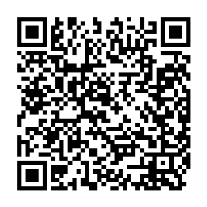 就是雨果饰演的文森特和塞缪尔饰演的朱尔斯坐在车子里的一段对话二维码生成