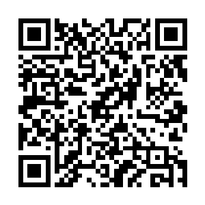 就是龙蛇一族被吞血化骨门以包庇鬼龙门余孽之名直接灭族二维码生成