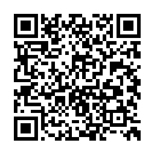 就显然是一路搜寻过去才看见这个漂亮小姑娘的二维码生成