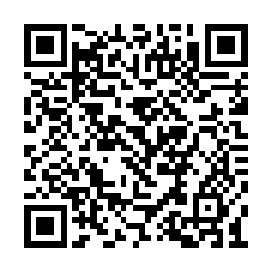 就暂时帮忙收拾顾客喝完后的杯子等打杂的活吧二维码生成