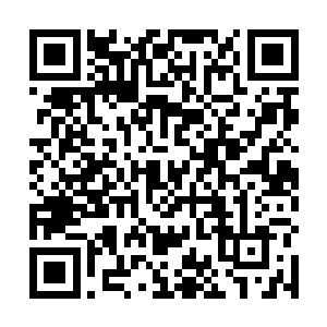 就更不可能在有限的生命中创造出适合人类修炼的功法二维码生成