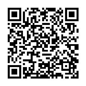 就更不要说同时学习道门仙医之术和佛门仙医之术了二维码生成