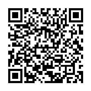 就更不要说是前面那十几个照日天宗的门人弟子了二维码生成