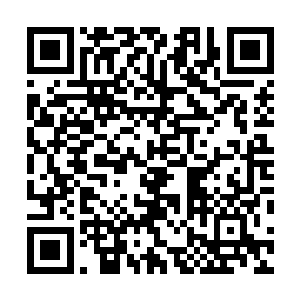 就曾从欧洲三大电影节的获奖电影中批发了一批片子回来二维码生成