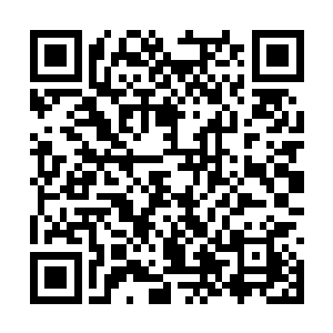 就有一定的机会可以协助炼制的材料配置一个器灵二维码生成