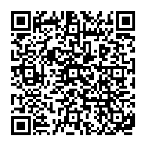 就有一种让刘宇想要穿越回去体验一番浩荡的人族盛世以及那段天地哀鸣的时代的感觉二维码生成