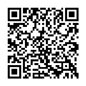 就有不少记者端着照相机和摄像机跟在他们身后二维码生成
