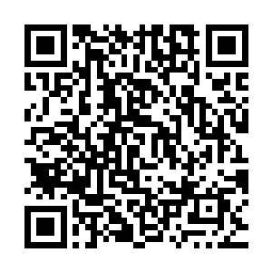 就有两名白衣白帽的大厨推上来一辆装着脆皮烤鸭的小推车进来二维码生成