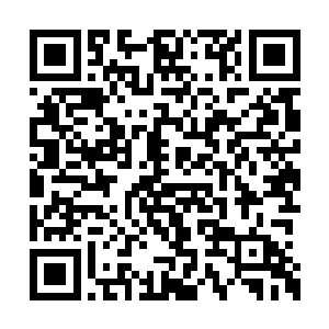 就有了一股子说不出的大气沉稳――这样的女婿二维码生成