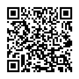 就有亿万人会心甘情愿为了我们的意志贡献一切二维码生成