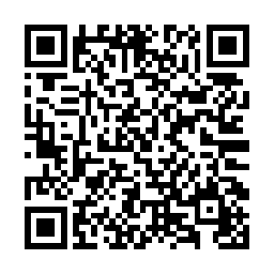 就有宗周慷慨之时血屠告诉这位高高在上的元婴老祖二维码生成