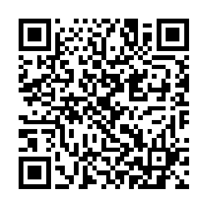 就有这样的一群自认为天才的人进入天才园申请考核二维码生成