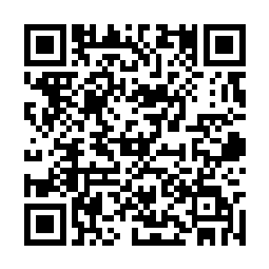 就有长着半透明翅膀的小妖精提着酒壶酒杯飞过来二维码生成