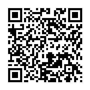 就朝着再次交错冲锋过来的狼骑军团火狼骑士冲杀过去二维码生成