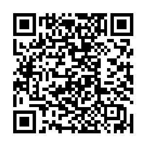 就死死地按在了平板屏幕上显现出的那个手掌的图案上二维码生成