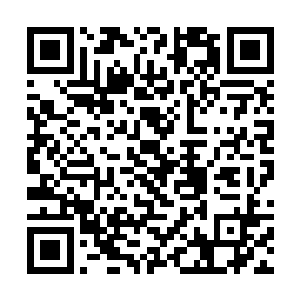 就毫不留情地开始侵吞原本属于自然之盟的利益起来二维码生成