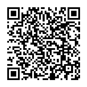 就污染了这片土地并迁徙来适合在沙漠中生活的穿沙甲为他们守门二维码生成