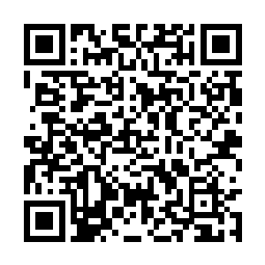 就没必要在她面前装出自己受了多重的伤这种假象二维码生成