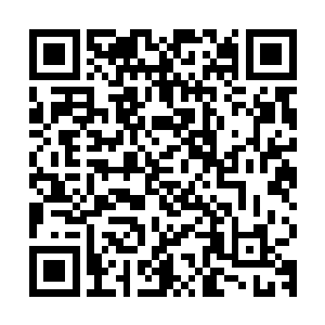 就没有人会在往后的日子里突然怀疑她身边这个刚多出来不久的二维码生成
