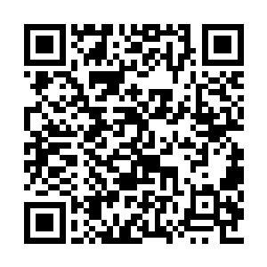 就没有听见看见过一次以旅游办名义出台的文件二维码生成