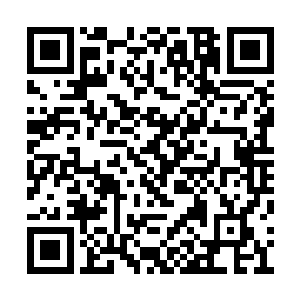 就没有四小天王齐聚在她的演唱会上这样的壮举二维码生成