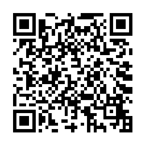 就没有见到过任何一个轩辕氏或姬氏的人过来与他会面二维码生成