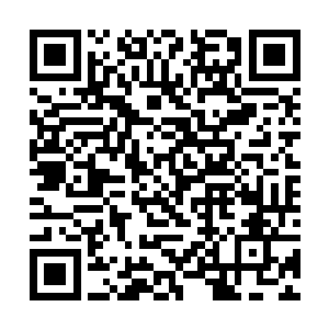 就注定他会是这场天城大战中首个牺牲的天道境存在二维码生成