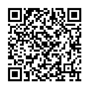 就灰团子喜欢吃什么幸给白礼展开了详细的讲解二维码生成