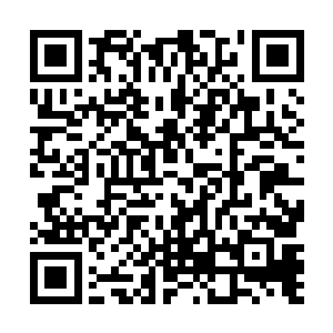 就猛的听到原本老老实实喝着奶的周亮张着嘴大吼一声二维码生成