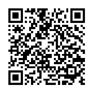 就甘愿把自己杀手的身份都给抛弃了的超级吃货――莫雪二维码生成