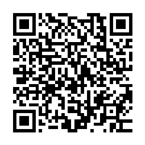 就用欧冶华都和阳落天这两个老家伙的全身精血来祭炼我的力量二维码生成