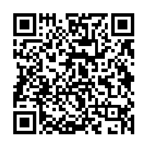 就用这延寿美颜丸给即将上市的漆叶青粘散打个广告二维码生成