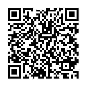 就用鲲鹏眼看清了眼前的那七个人没有一个是修为低下的修士二维码生成