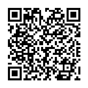 就留我一个在这呢神兽怎么办它也总不能让我带回去吧二维码生成